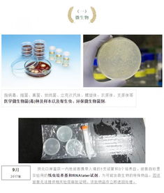 攜帶血液與生物制品進出境 海關監(jiān)管的挑戰(zhàn)與應對